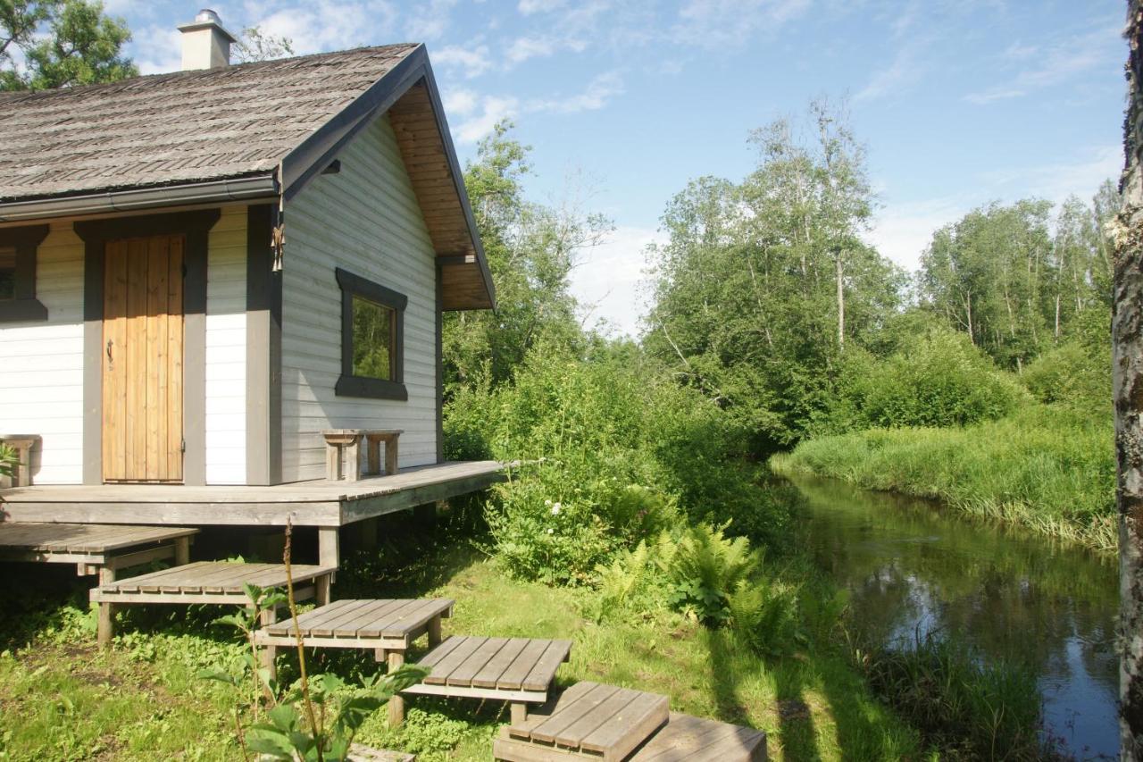 Appartement Bear Manor Lacu Muizina à Pāle Extérieur photo